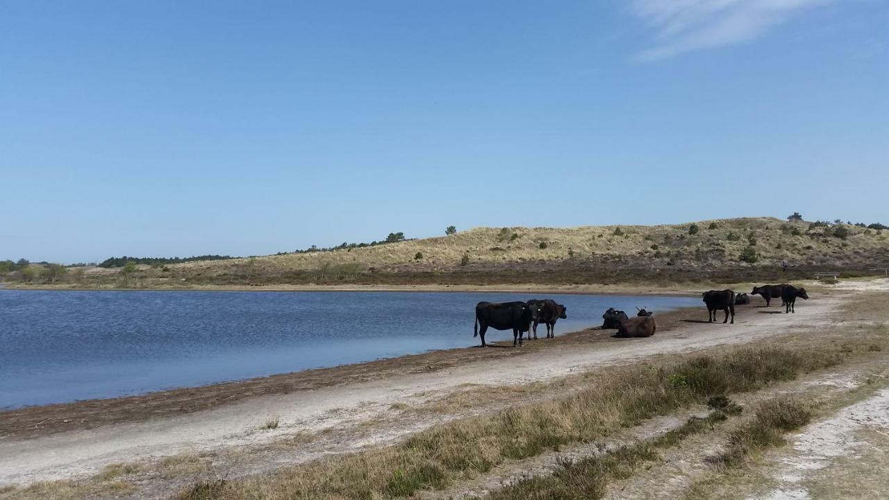 Vakantiehuis Duin Bos En Zee Схорл Екстер'єр фото